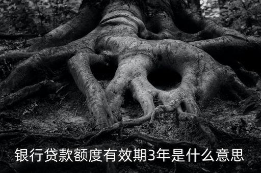 額度存續(xù)期是什么意思，什么叫存續(xù)期看百度百科看不懂求簡單易懂的解釋