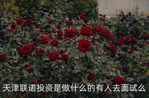 天河聯(lián)盟投資是什么，廣州理財(cái)公司是真的