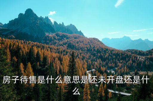 待售房是什么意思，房子待售是什么意思是還未開盤還是什么