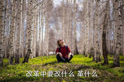 你認(rèn)為我國改革的重心應(yīng)是什么改，我國改革的任務(wù)決定了改革應(yīng)是 A 經(jīng)濟(jì)體制的改革 B 政治體制的改革