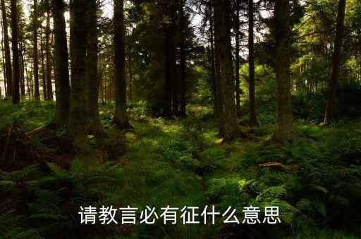 征言是什么意思，上卒從徵言是什么意思