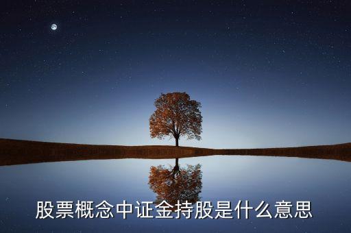 證金持股什么意思，股票概念中證金持股是什么意思