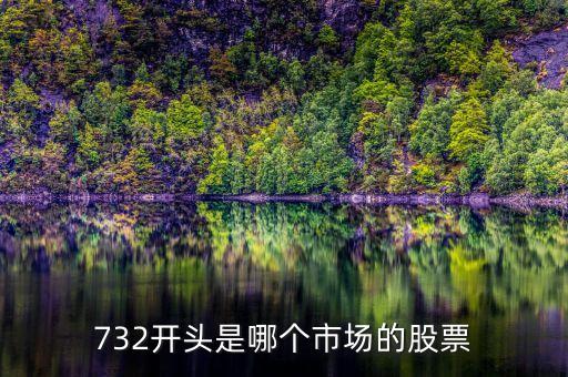 732開頭是什么股票，732開頭是哪個市場的股票