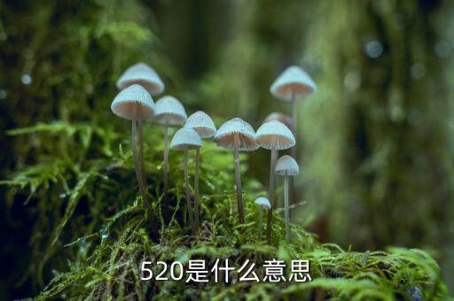什么是1浪5，江恩數浪法則如何劃分五浪