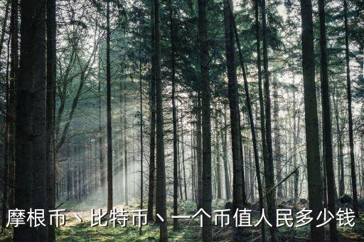 摩根幣商家攥什么錢，摩根幣是什么摩根幣可以賺錢嗎