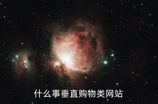 什么是垂直商城，o2o垂直商城是什么