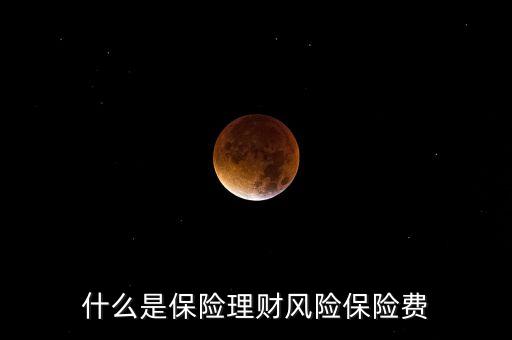 什么是保險理財風(fēng)險保險費