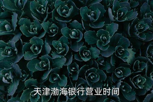 天津渤海銀行營業(yè)時間