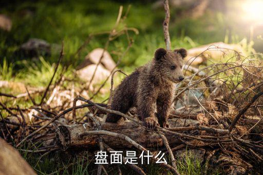 什么是盤面壓榨利潤，什么叫物理壓榨
