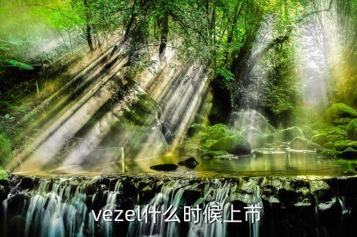 維珍妮集團什么時候上市，vezel什么時候上市