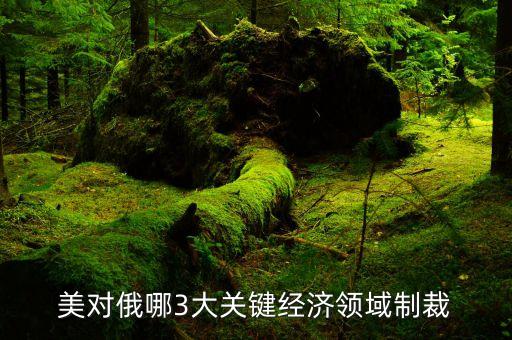 美對(duì)俄哪3大關(guān)鍵經(jīng)濟(jì)領(lǐng)域制裁