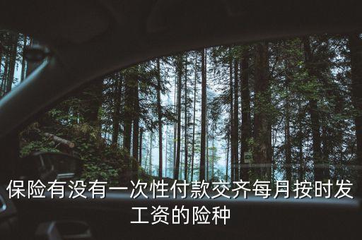 什么保險可以一次繳費，什么保險一次性交費