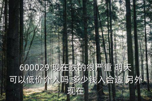 粵傳媒今天什么跌這么厲害，600029 現(xiàn)在跌的很嚴(yán)重 明天可以低價介入嗎 多少錢入合適 另外現(xiàn)在