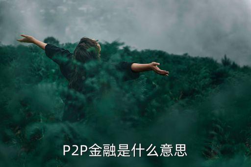 P2P金融是什么意思