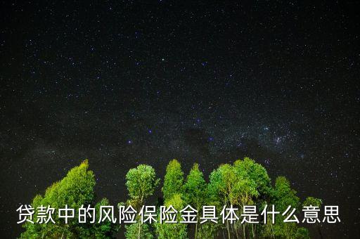什么叫風(fēng)險保費(fèi)，貸款中的風(fēng)險保險金具體是什么意思