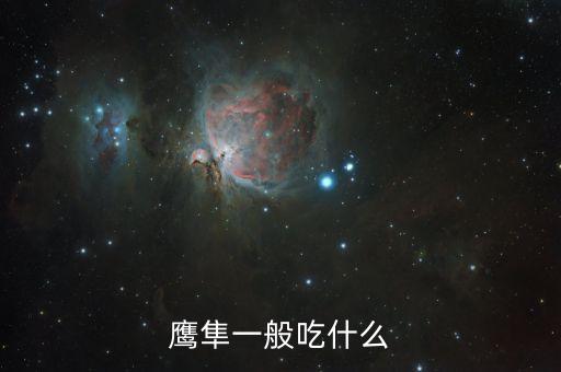 雛鷹吃什么，老鷹會吃什么