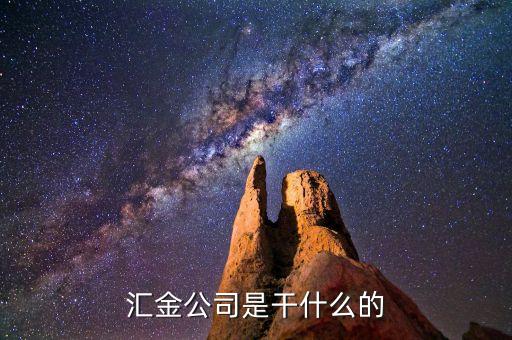 深圳惠程為什么匯金進(jìn)駐，匯金公司是怎么回事