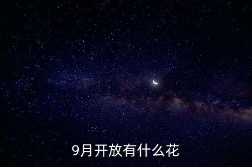 九月什么花經(jīng)路放，9月開放有什么花