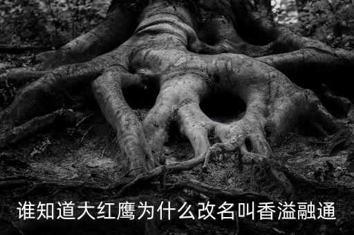 為什么買(mǎi)香溢融通，買(mǎi)當(dāng)代歌壇看到一個(gè)被稱為實(shí)偶派的歌手 饒威求科普