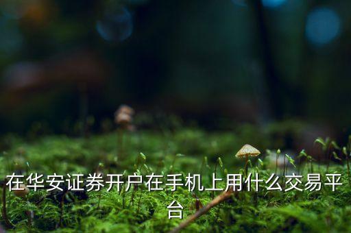 華安證券是干什么的，華安證券準(zhǔn)證劵經(jīng)紀(jì)人是做什么的啊