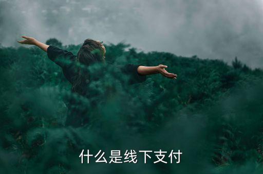 什么是線上線下支付，什么是線下支付