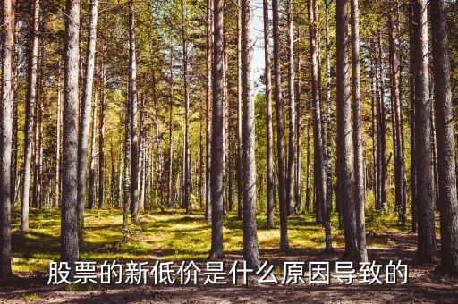 股票的新低價是什么原因導致的