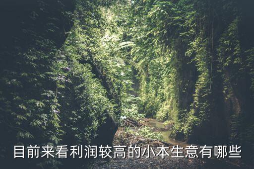 目前來看利潤較高的小本生意有哪些