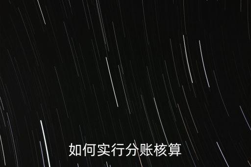 什么是分賬核算，如何實行分賬核算