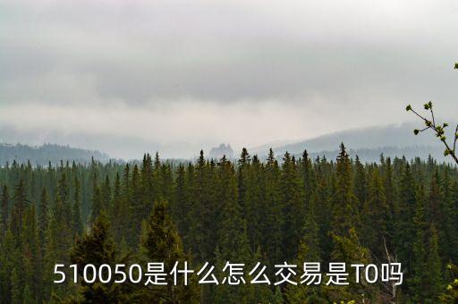 510050是什么股票，510050是什么怎么交易是T0嗎