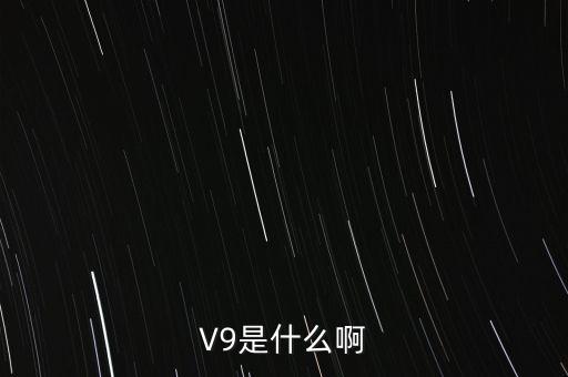 瀘州貢酒v9什么意思，V9是什么啊
