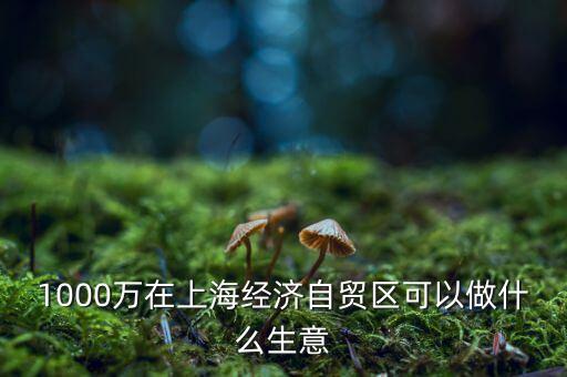 1000萬在上海經濟自貿區(qū)可以做什么生意