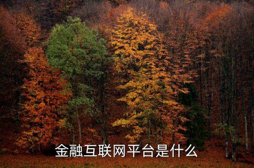金融互聯(lián)網(wǎng)平臺(tái)是什么