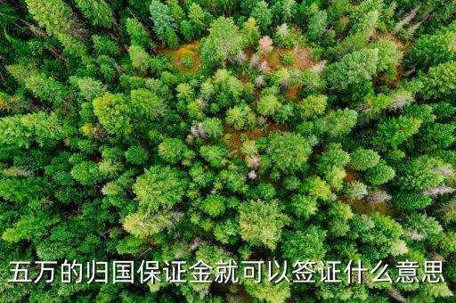 什么是歸國保證金，五萬的歸國保證金就可以簽證什么意思
