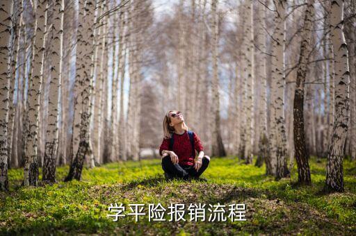 學(xué)平險(xiǎn)報(bào)銷(xiāo)流程