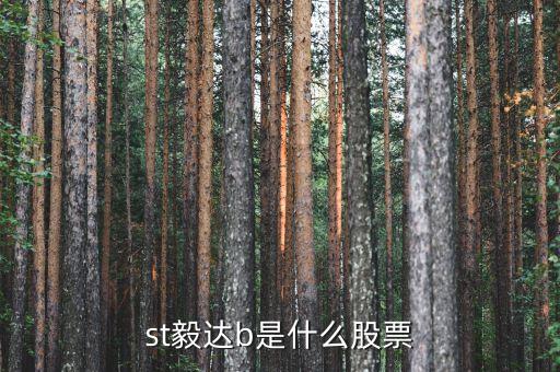 中毅達(dá)屬于什么股，st毅達(dá)b是什么股票