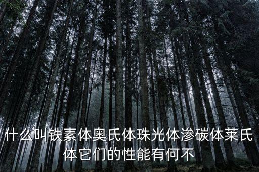 什么叫鐵素體奧氏體珠光體滲碳體萊氏體它們的性能有何不