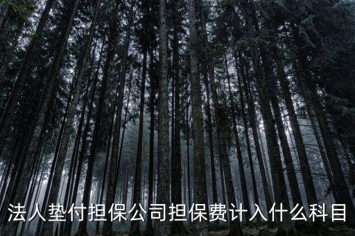 什么是法人墊款，法人代墊款的分錄需有什么附件嗎