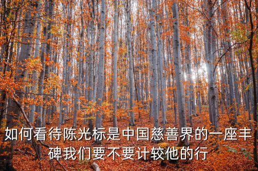 為什么說陳光標(biāo)暴力慈善，陳光標(biāo)是什么人為什么要裸捐