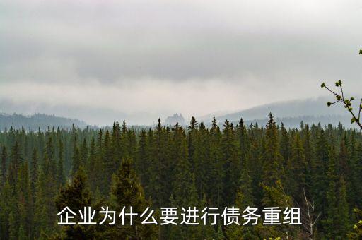 企業(yè)為什么要進(jìn)行債務(wù)重組