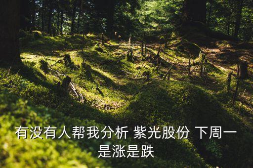 紫光股份什么時間會漲，有沒有人幫我分析 紫光股份 下周一是漲是跌