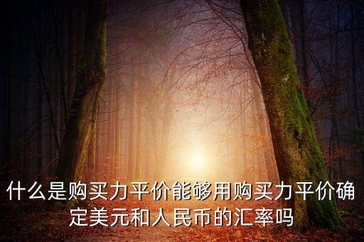 什么是購買力平價(jià)能夠用購買力平價(jià)確定美元和人民幣的匯率嗎
