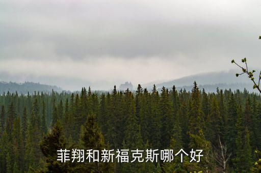 菲翔和新?？怂鼓膫€好