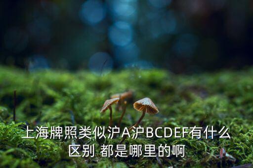 上海市政府牌照是滬什么，上海的車牌是滬還是浦