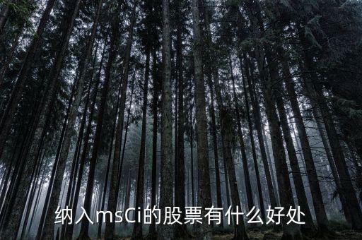 msci什么意思，MSCI 指數(shù)是什么