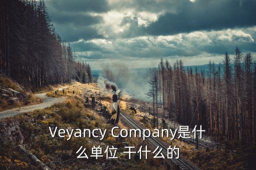 時(shí)代沃頓科技有限公司是什么單位，Veyancy Company是什么單位 干什么的