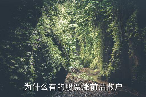 為什么有的股票漲前清散戶(hù)