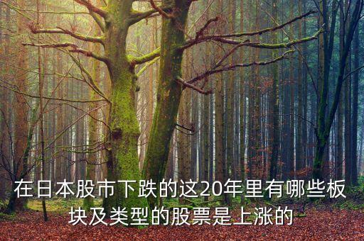 日本股市崩盤能買什么，在日本股市下跌的這20年里有哪些板塊及類型的股票是上漲的