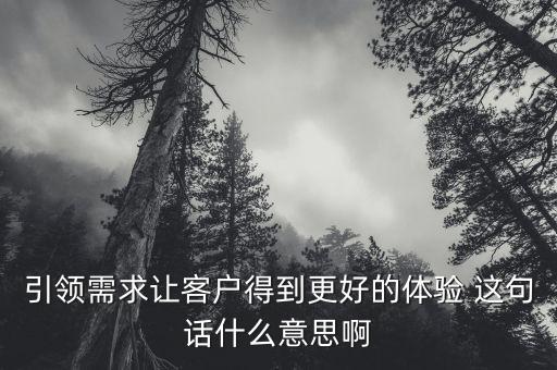 什么是引領(lǐng)需求，引領(lǐng)需求讓客戶得到更好的體驗 這句話什么意思啊