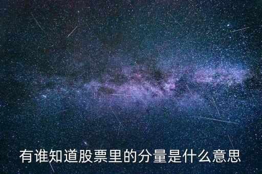 股票中的分時量是什么，有誰知道股票里的分量是什么意思