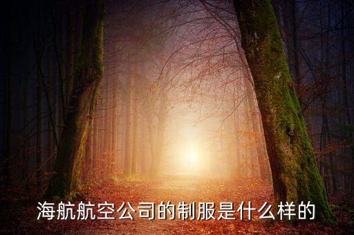 海航航空公司的制服是什么樣的